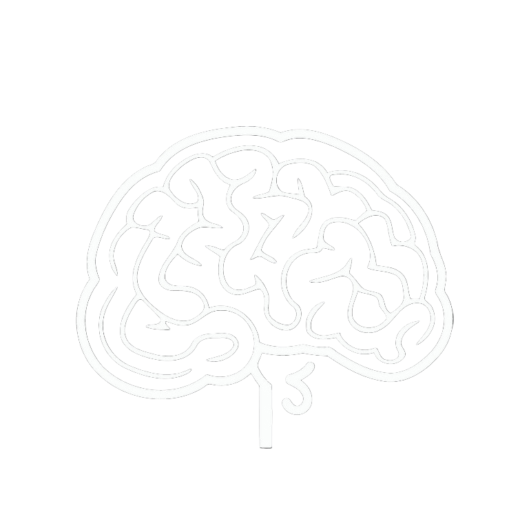 Brain Outline